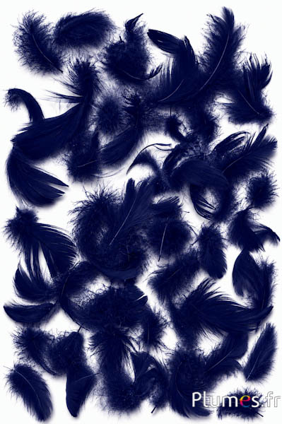 Oca - 4-6 cm - blu notte